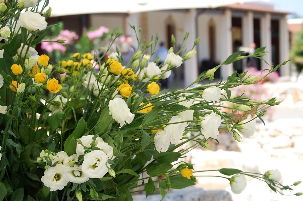 Masseria La Grande Quercia Hotel Mottola Luaran gambar